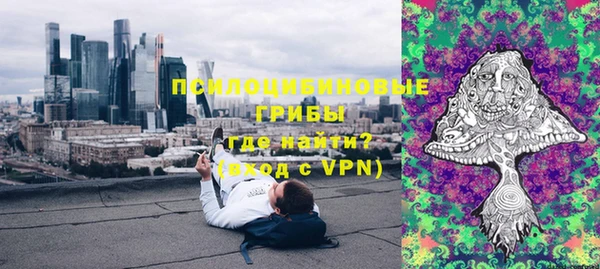 стафф Алексин