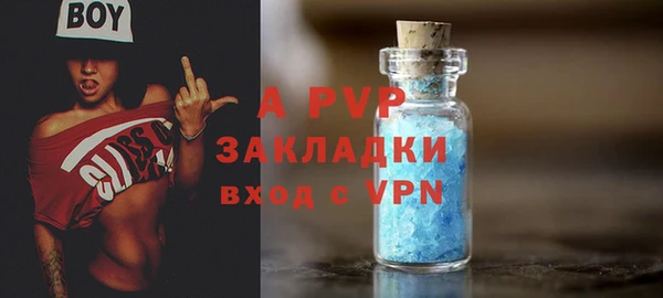стафф Алексин