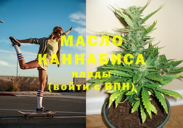 стафф Алексин