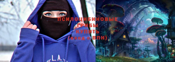 apvp Алексеевка